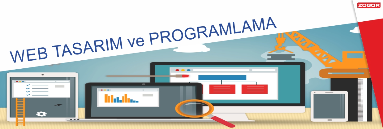 Web Tasarım